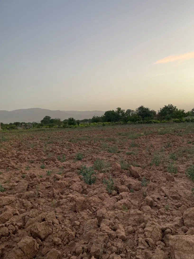 فروش زمین باغی،زراعی،کشاورزی