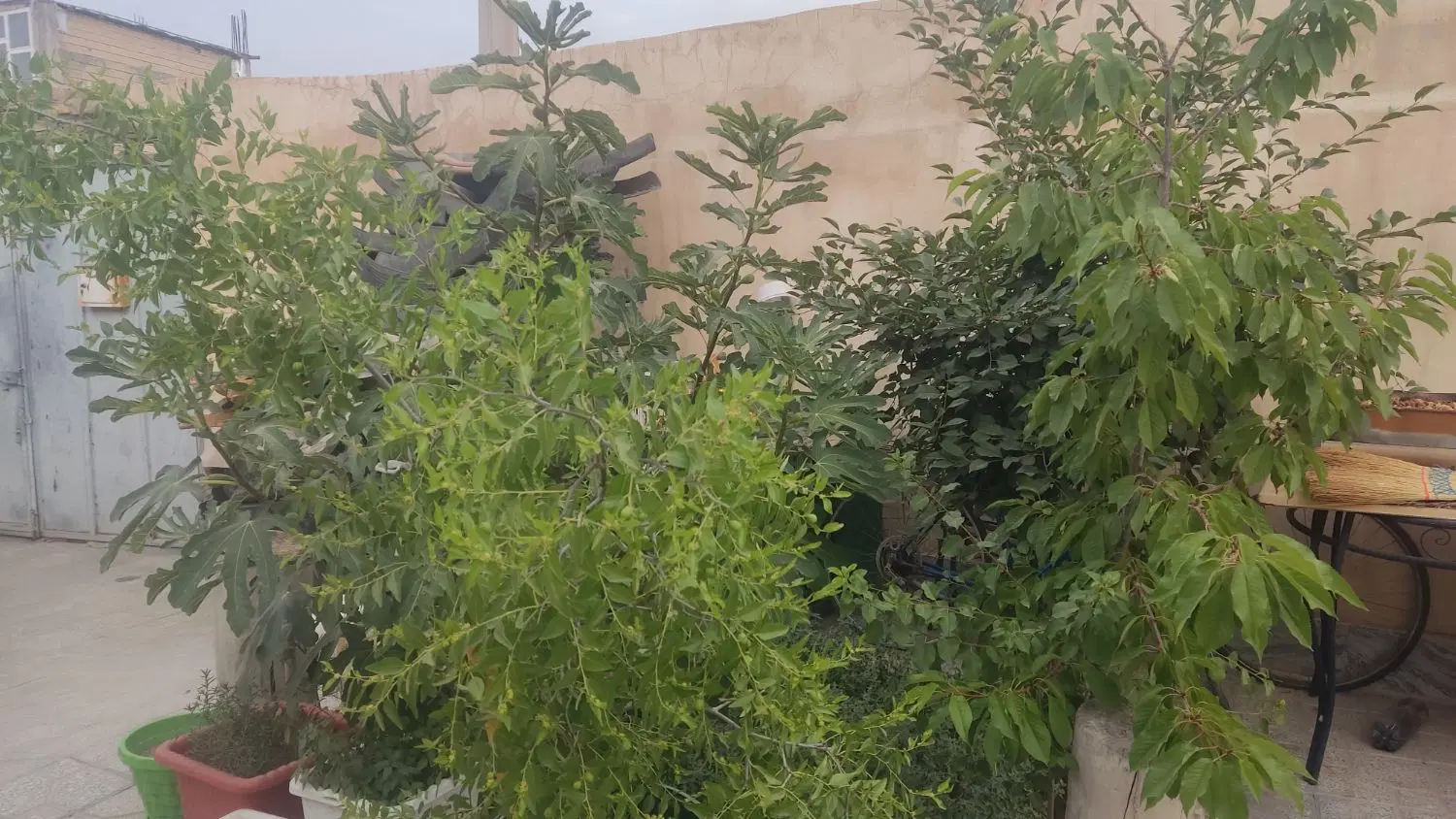 فروش منزل