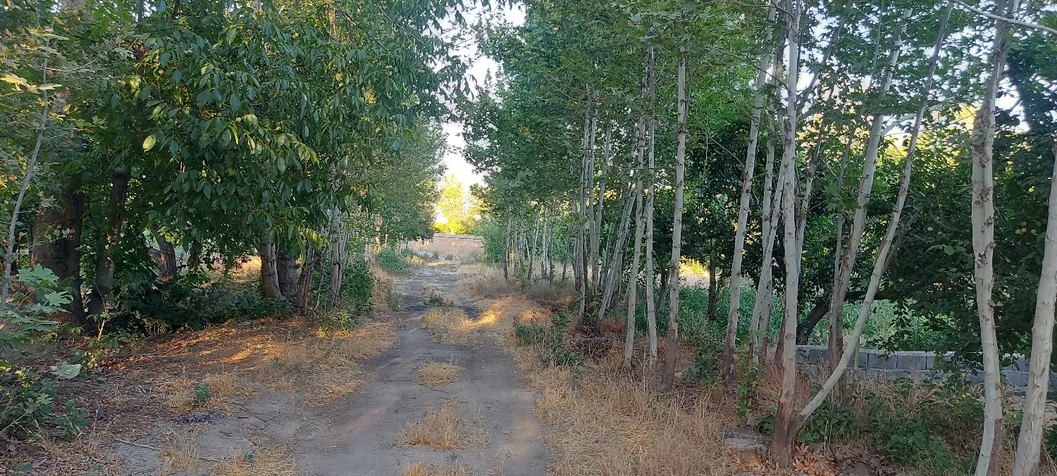 فروش باغ سنددار ۱۸۳۵ متر (امکان فروش سهم ۹۱۷ متری)