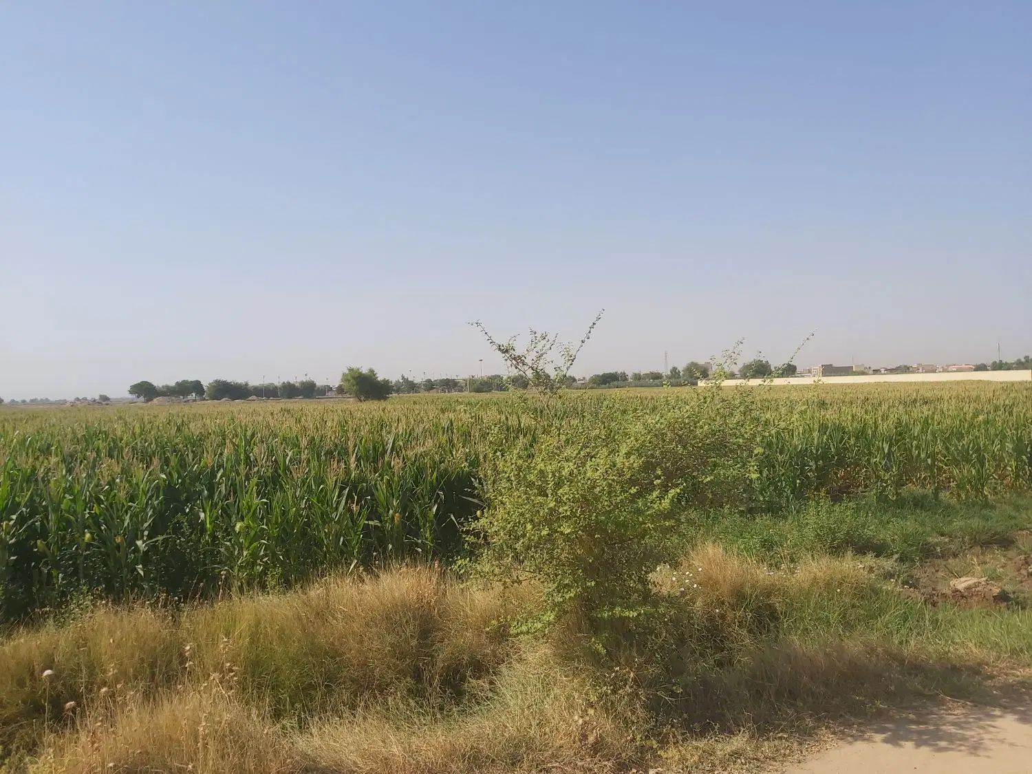 ۴هکتار زمین کشاورزی برای فروش ۱۰سال تمدید شده
