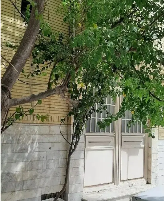 اجاره واحد مسکونی