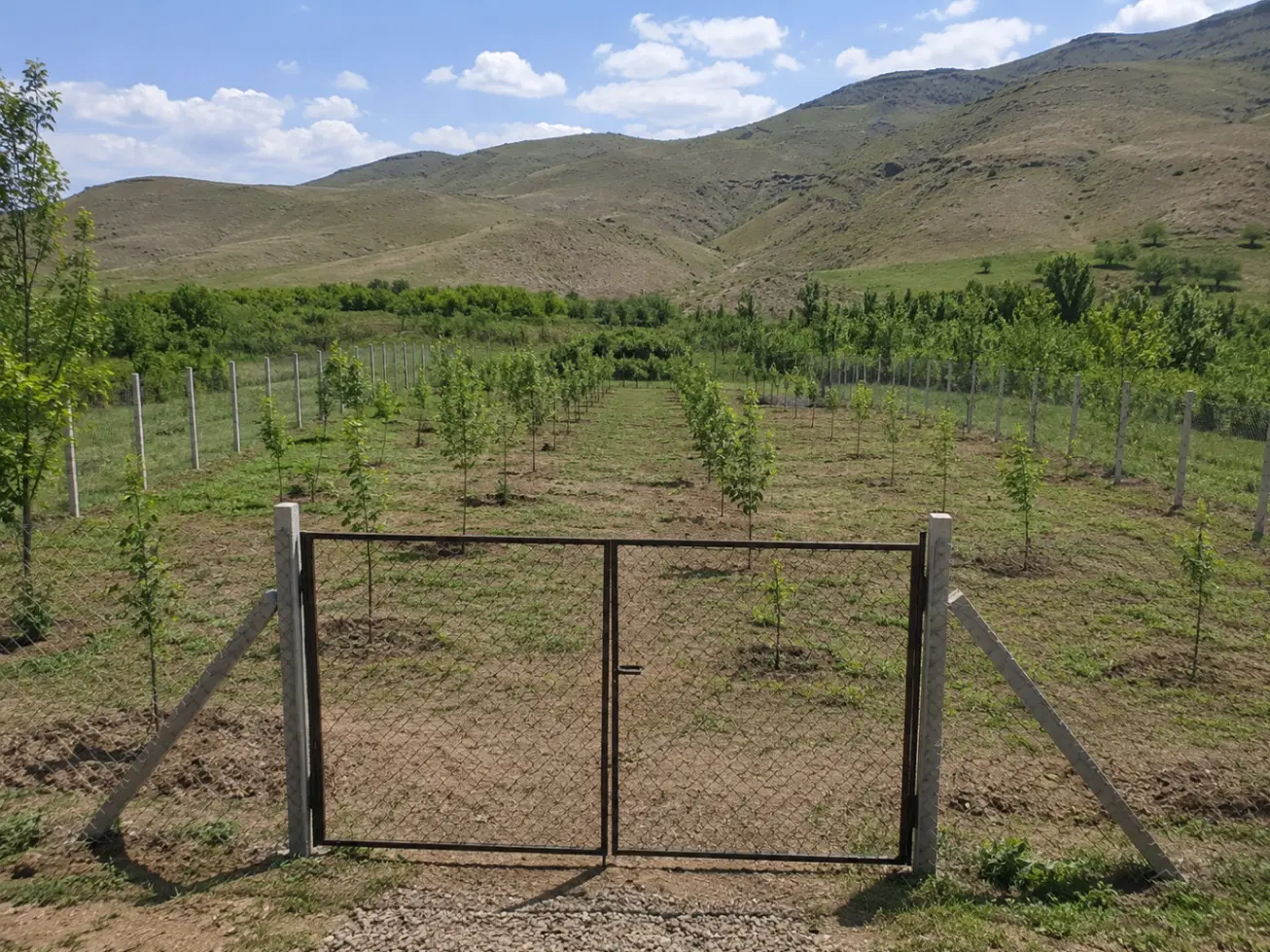 باغچه کشاورزی
