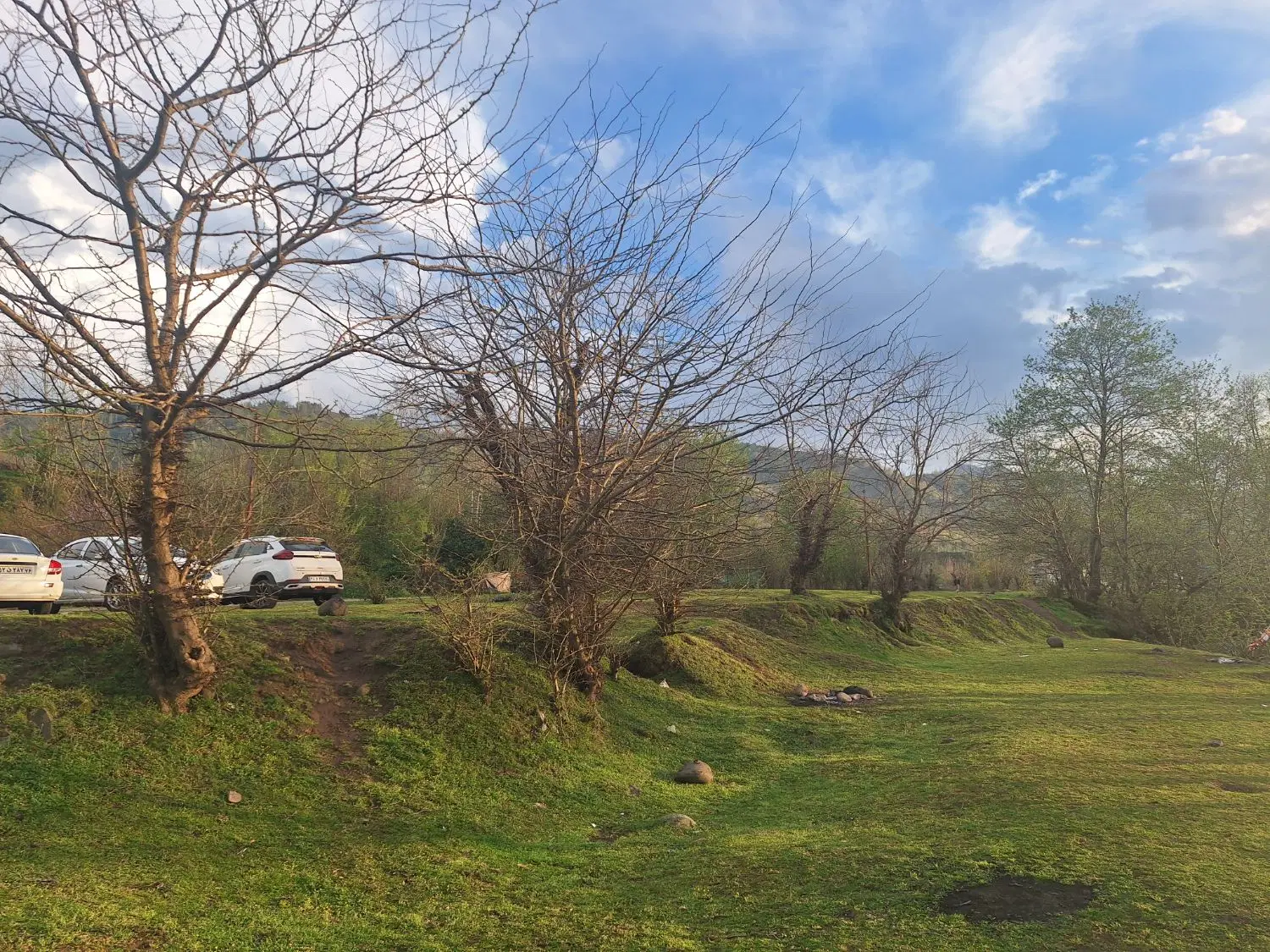 زمین  باغی