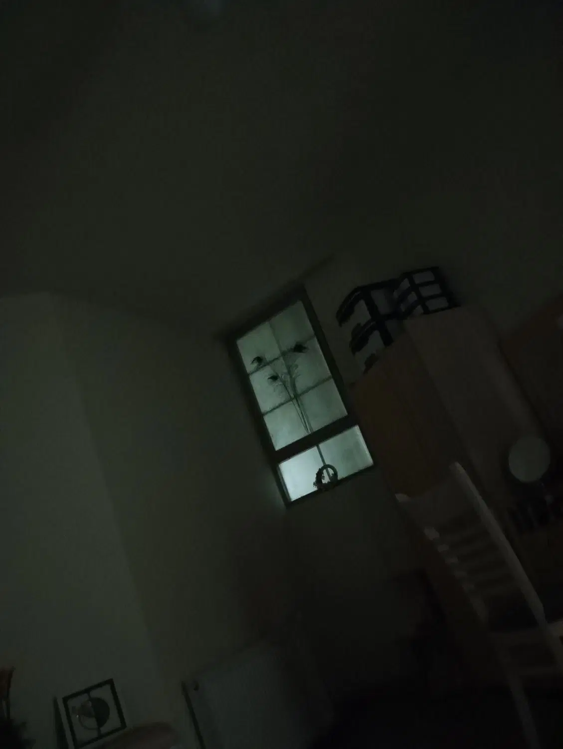 همخونه