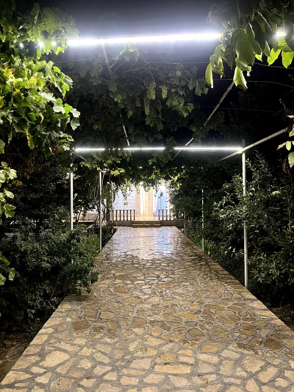 ویلای نوساز استخر دار