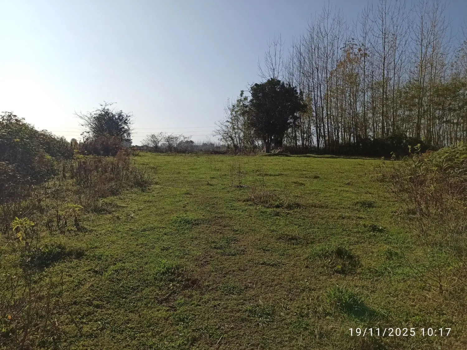 زمین ۲۳۰۰ متری ماسال