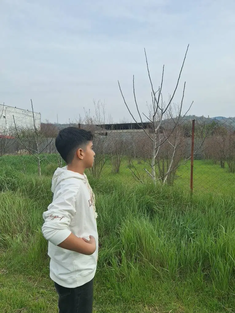۲۵۰ متر زمین مسکونی طرح هادی گرجی محله رستمکلا