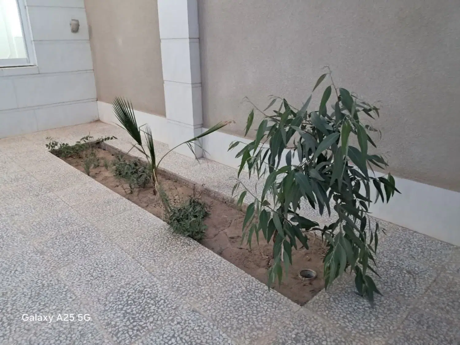خونه باغی