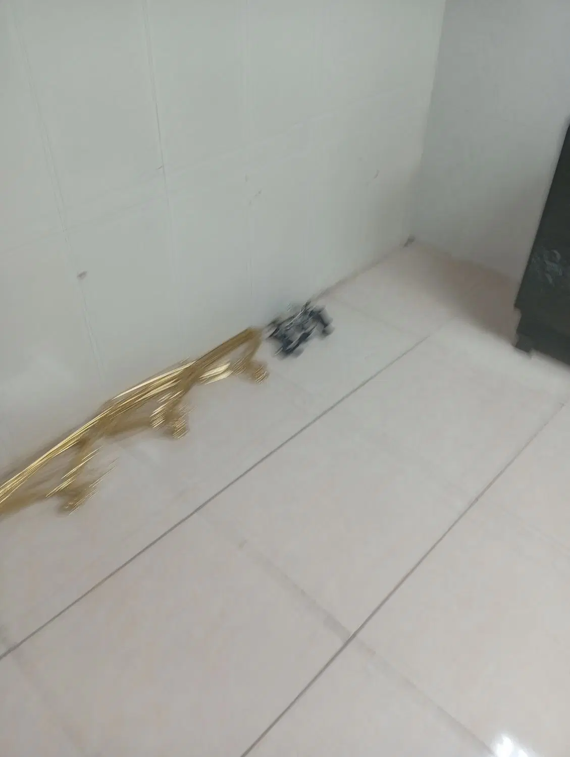 همخونه