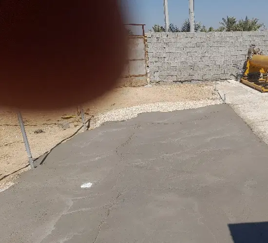 شادگان خروسی شمالی