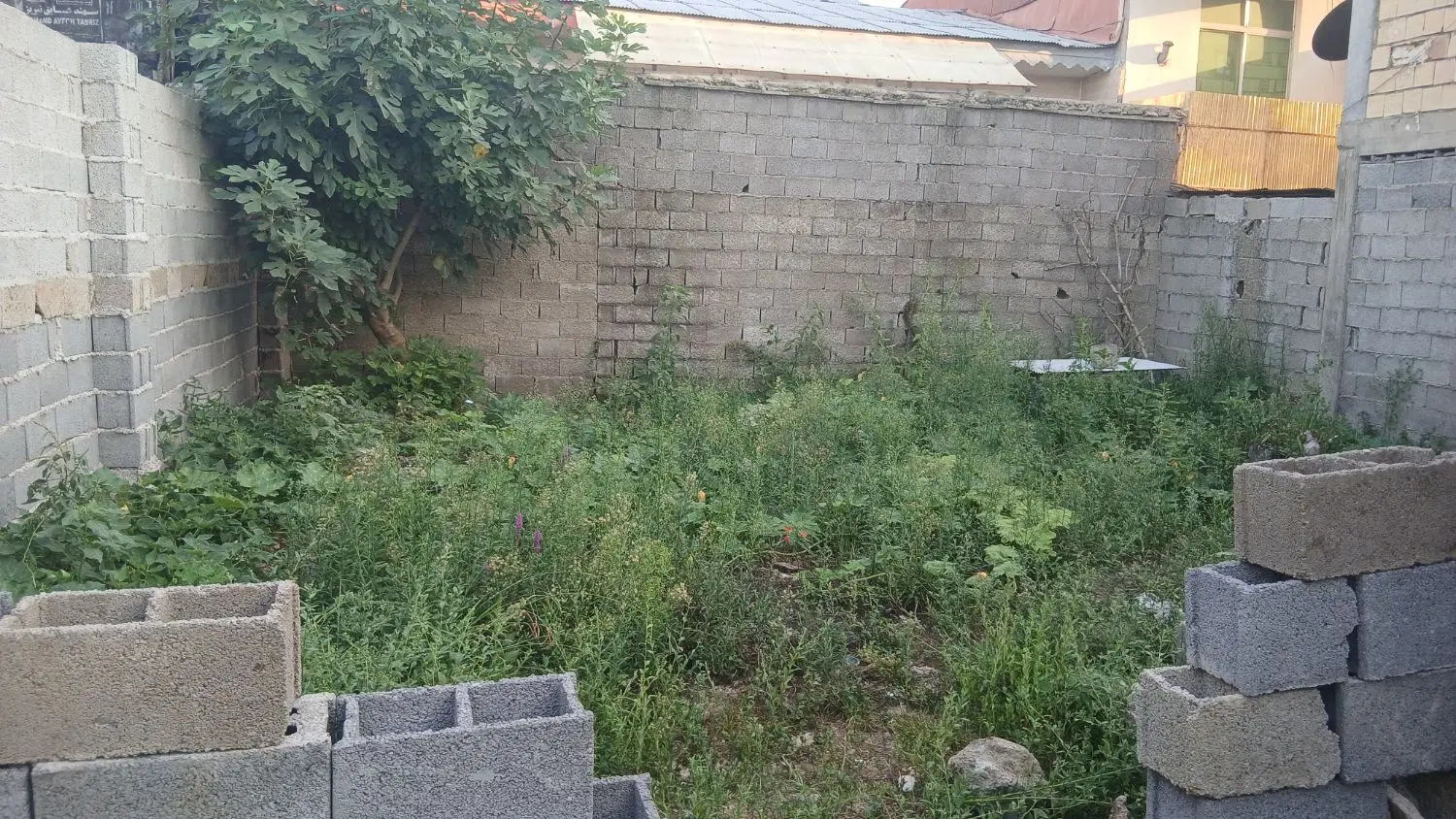 زمین ۲۰۰ متری
