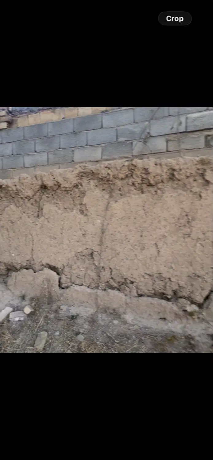زمین ازادگان بر خیابان