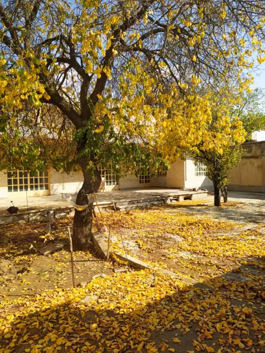 خانه ۷۰۰ متری - بهترین نقطه شهر - اماده فروش