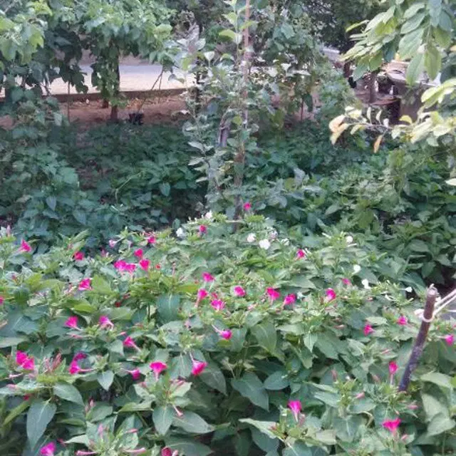 فردش خانه کلنگی در بهترین جای قوچان
