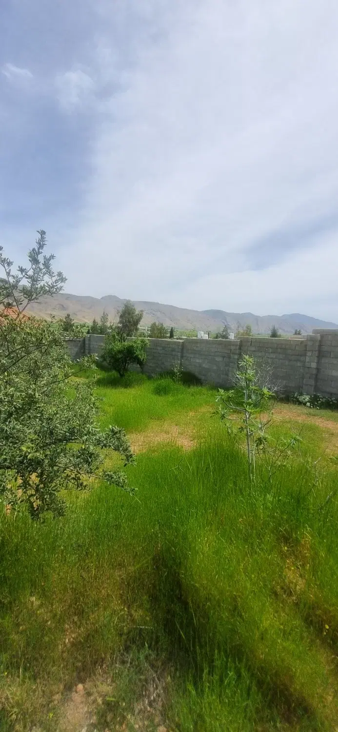 ۱۰۰۰متر باغ