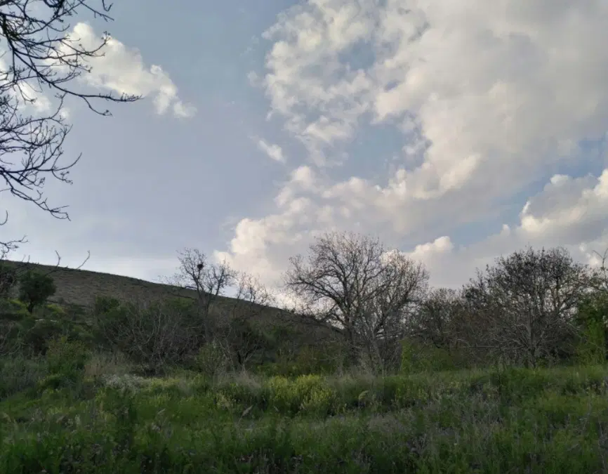 باغ فروشی واقع در روستای توریستی