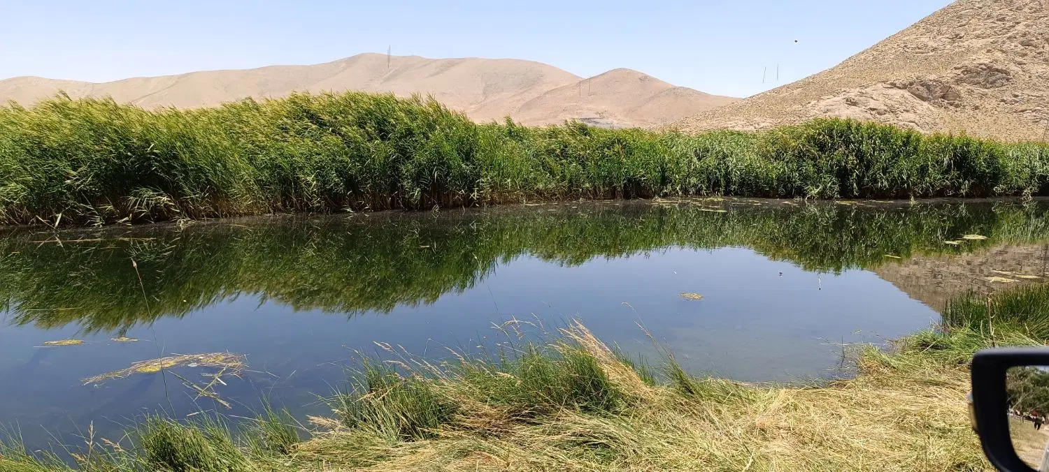 زمین ۱۲۶متری محله ۳۲منظریه