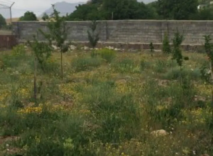 زمین خدماتی متراژ بالا