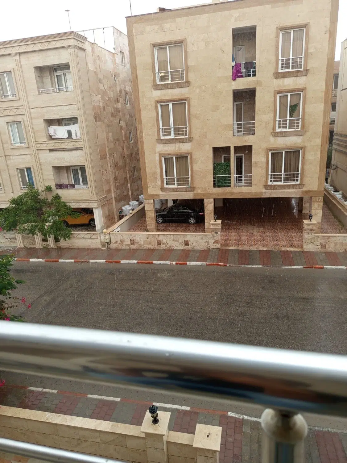 متقاضی همخونه