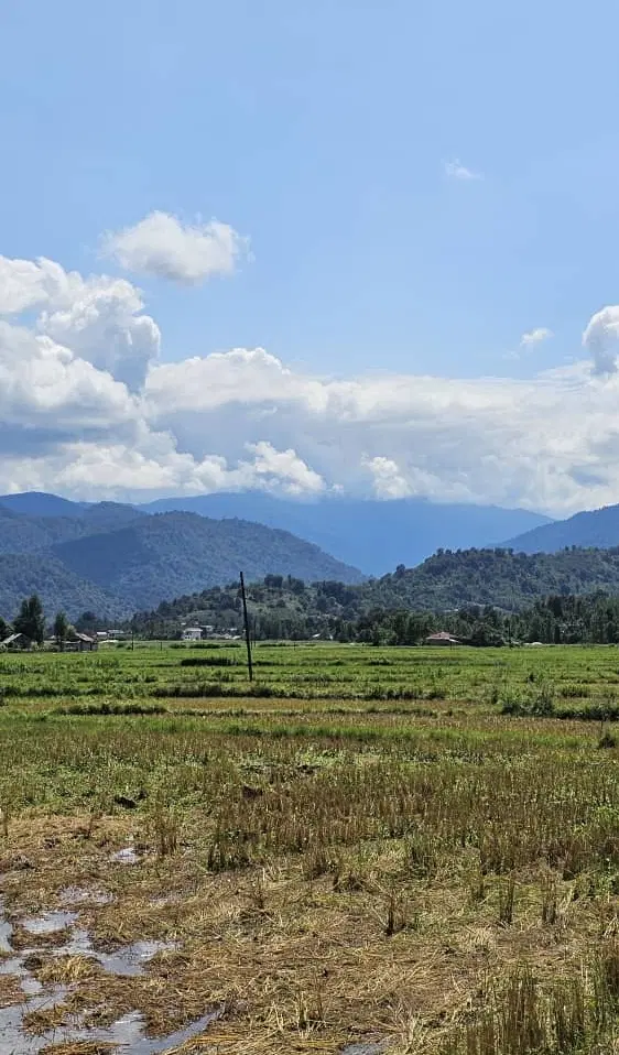 فروش 256 متر زمین مسکونی در روستای نصیرمحله