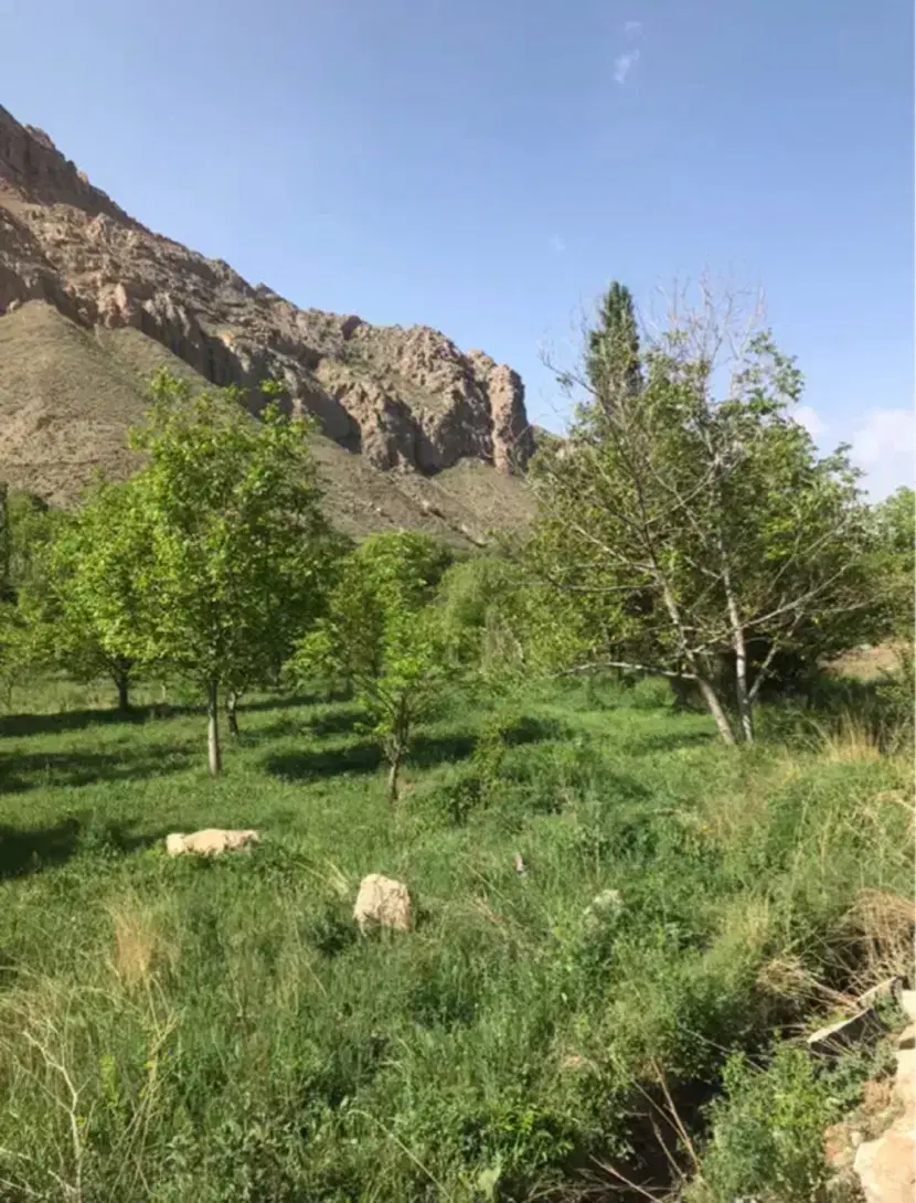 فروش باغ در فیروزکوه