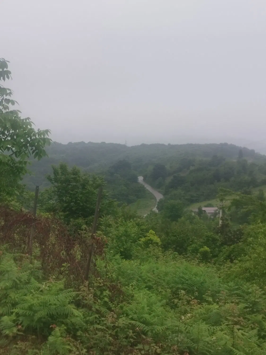زمین خونه ی قدیمی ویلا