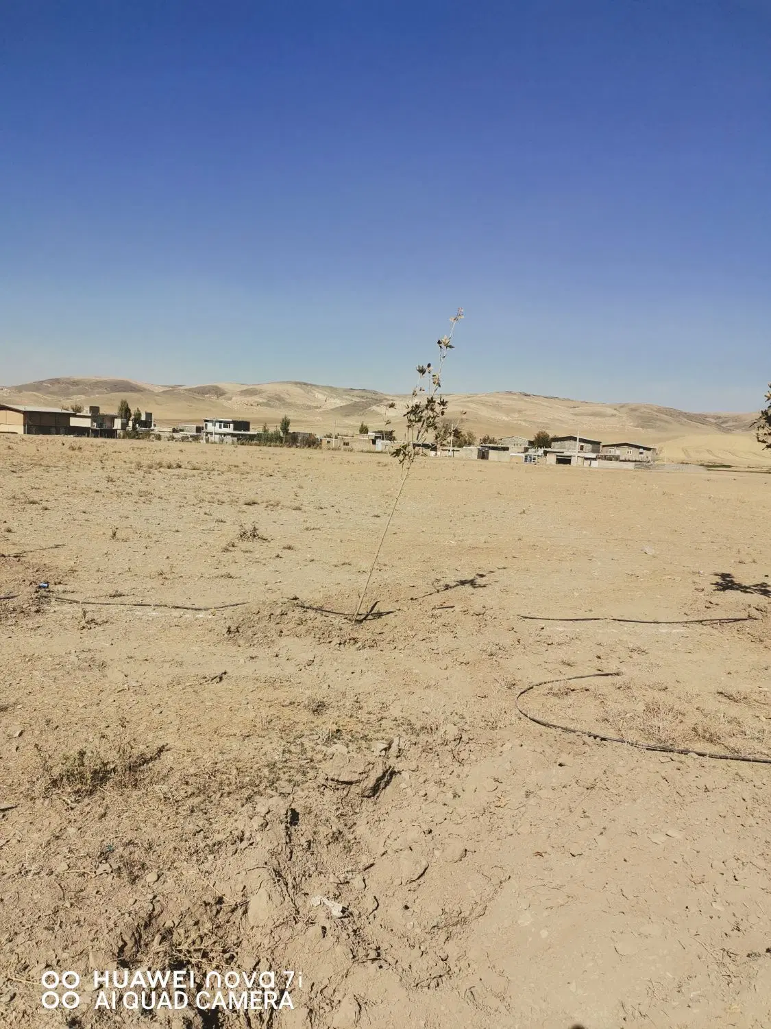 فروش زمین روستای سور