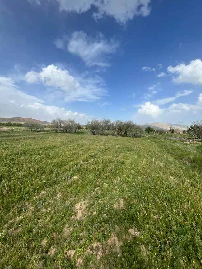زمین در جاده تبریز صوفیان باغ وزیر