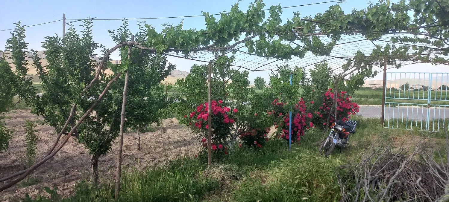 باغ زیبا