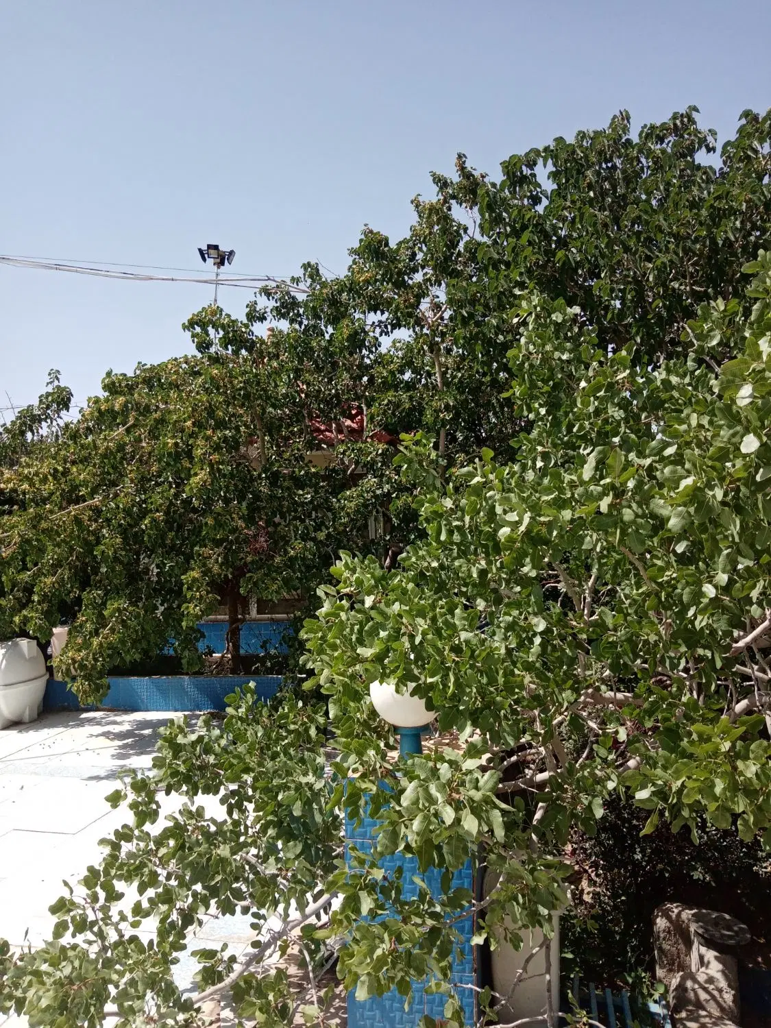 باغ ویلا.وکارخانه حبوبات