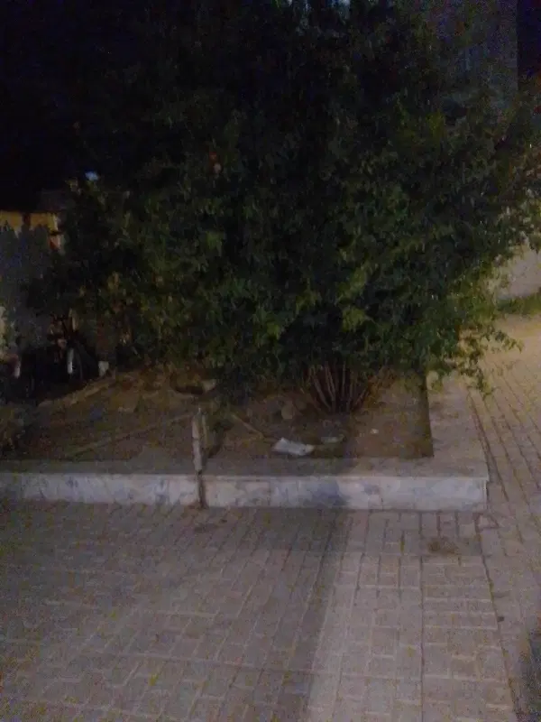 ویلایی حاشیه کوچه یدالله کاشانی۵۵