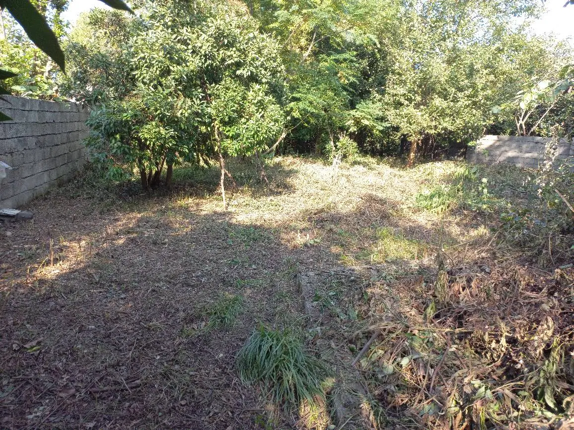 زمین با کاربری مسکونی