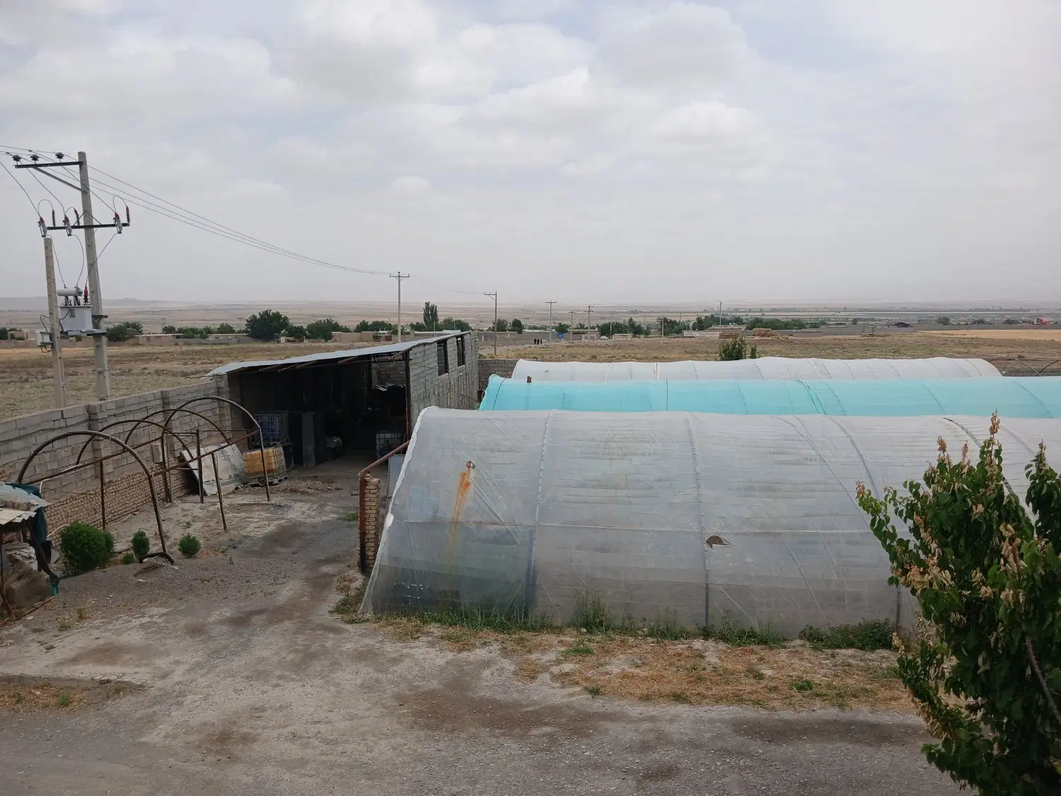 گلخانه کشت خاکی