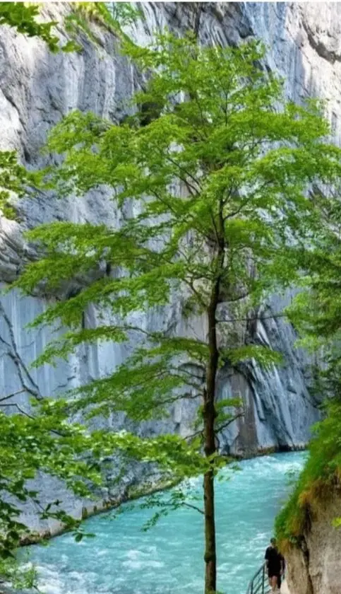 فروش باغچه