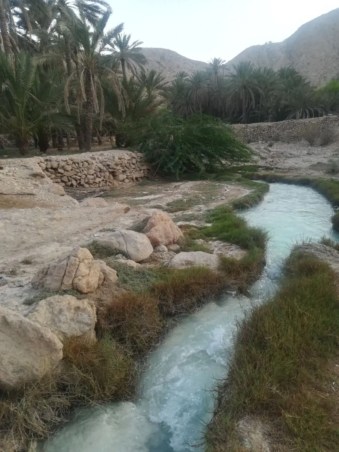 زمین