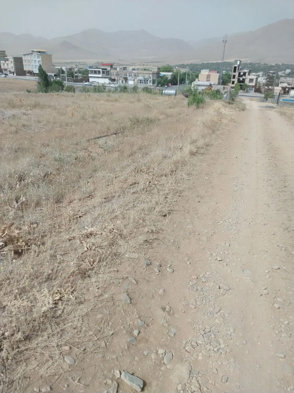 زمین