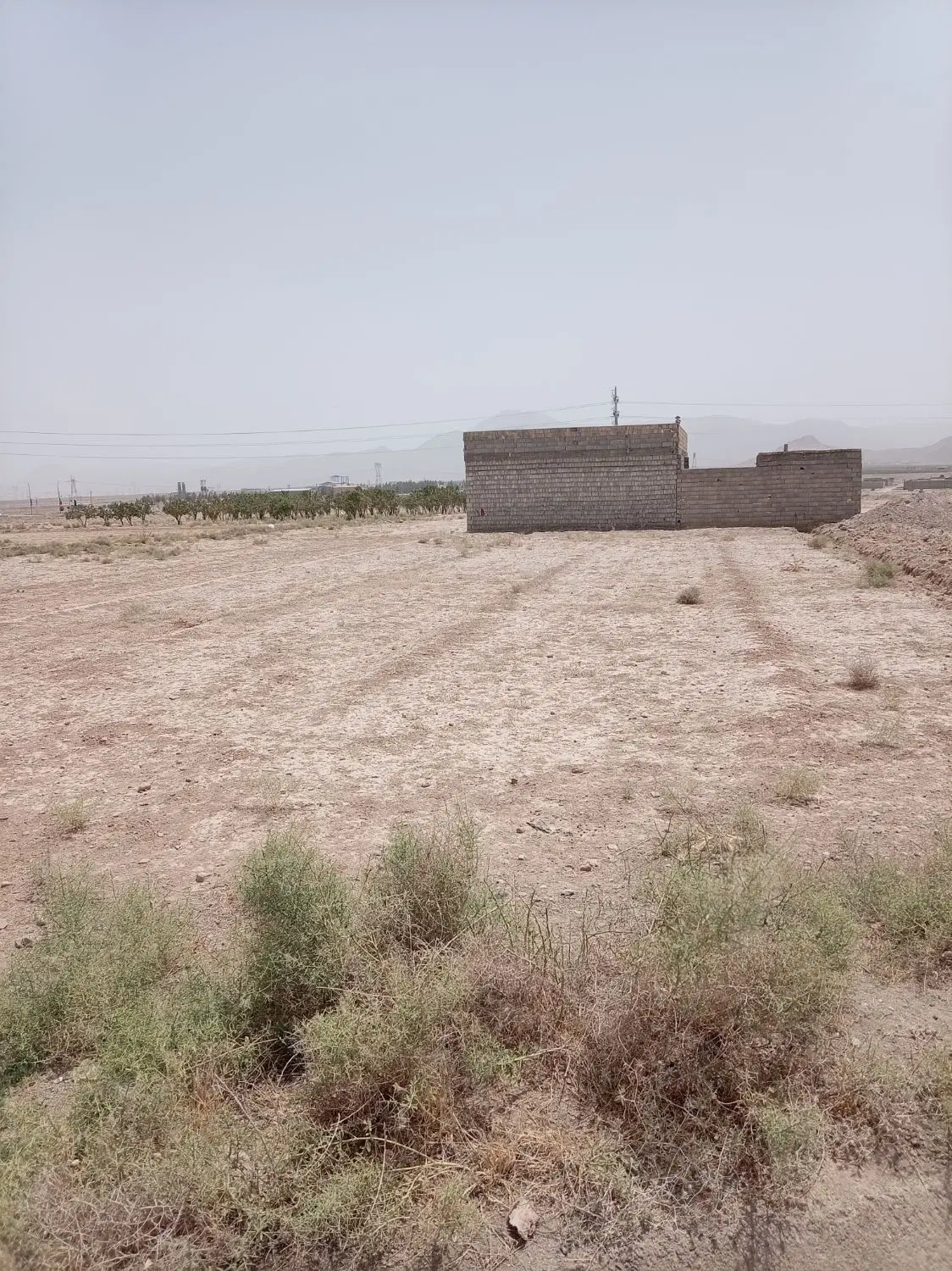 زمین 528 متری جلال آباد