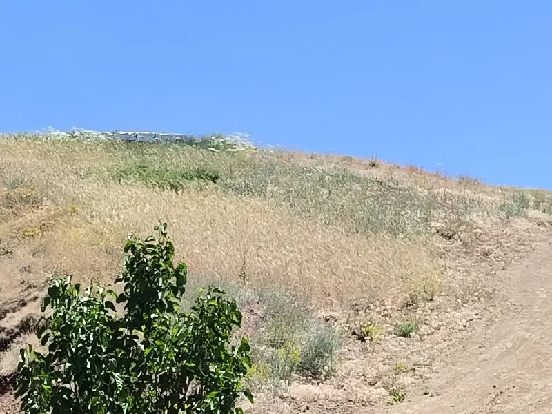 زمین آماده احداث باغ با چشمه اختصاصی