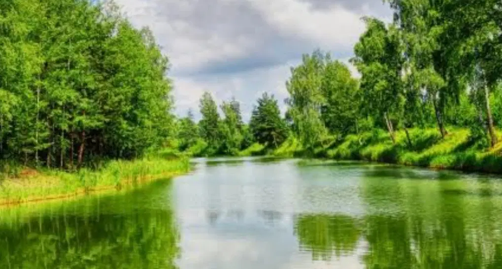فروش انواع زمین در استان گیلان