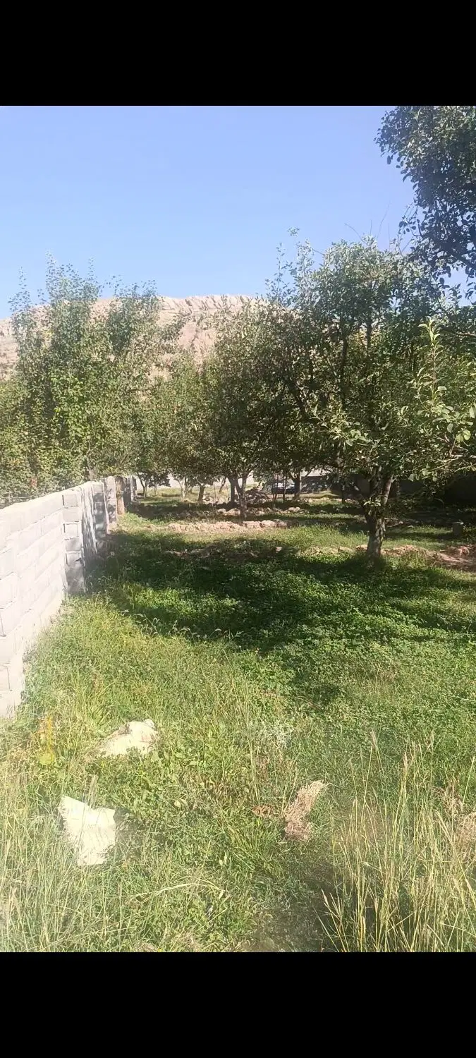 زمین کشاورزی