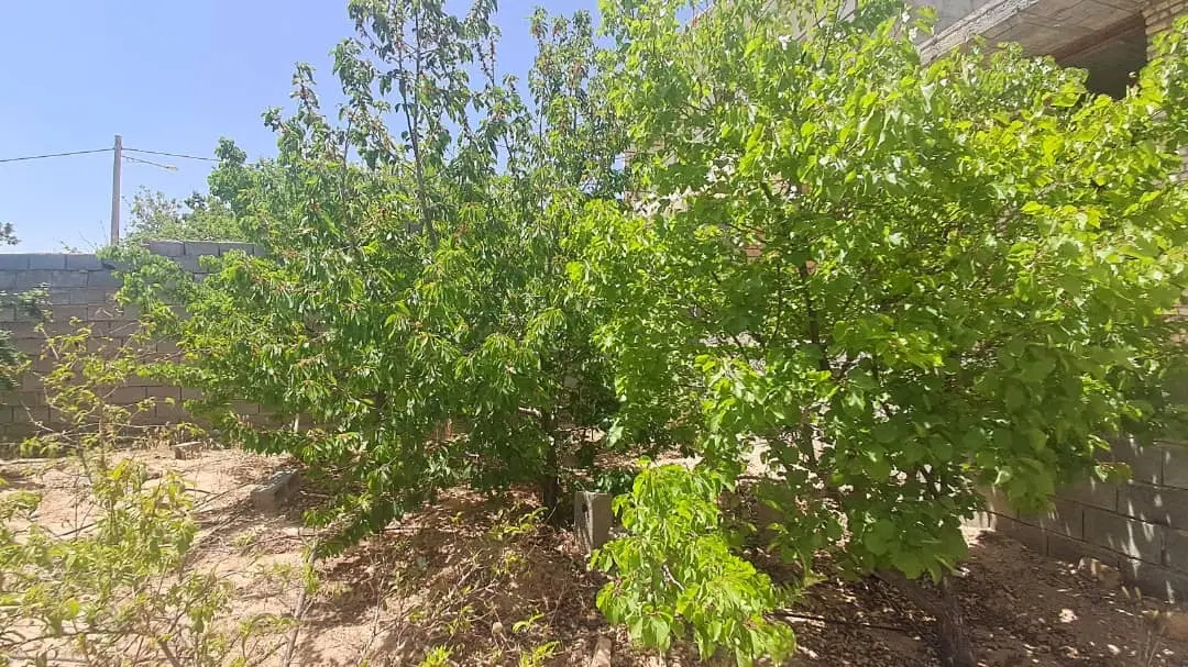 خانه باغ نیمه ساز تنگ چنار