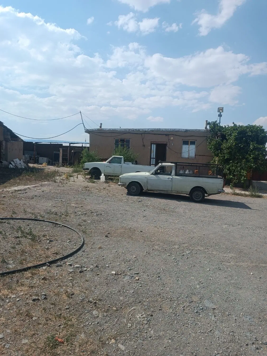 گاوداری