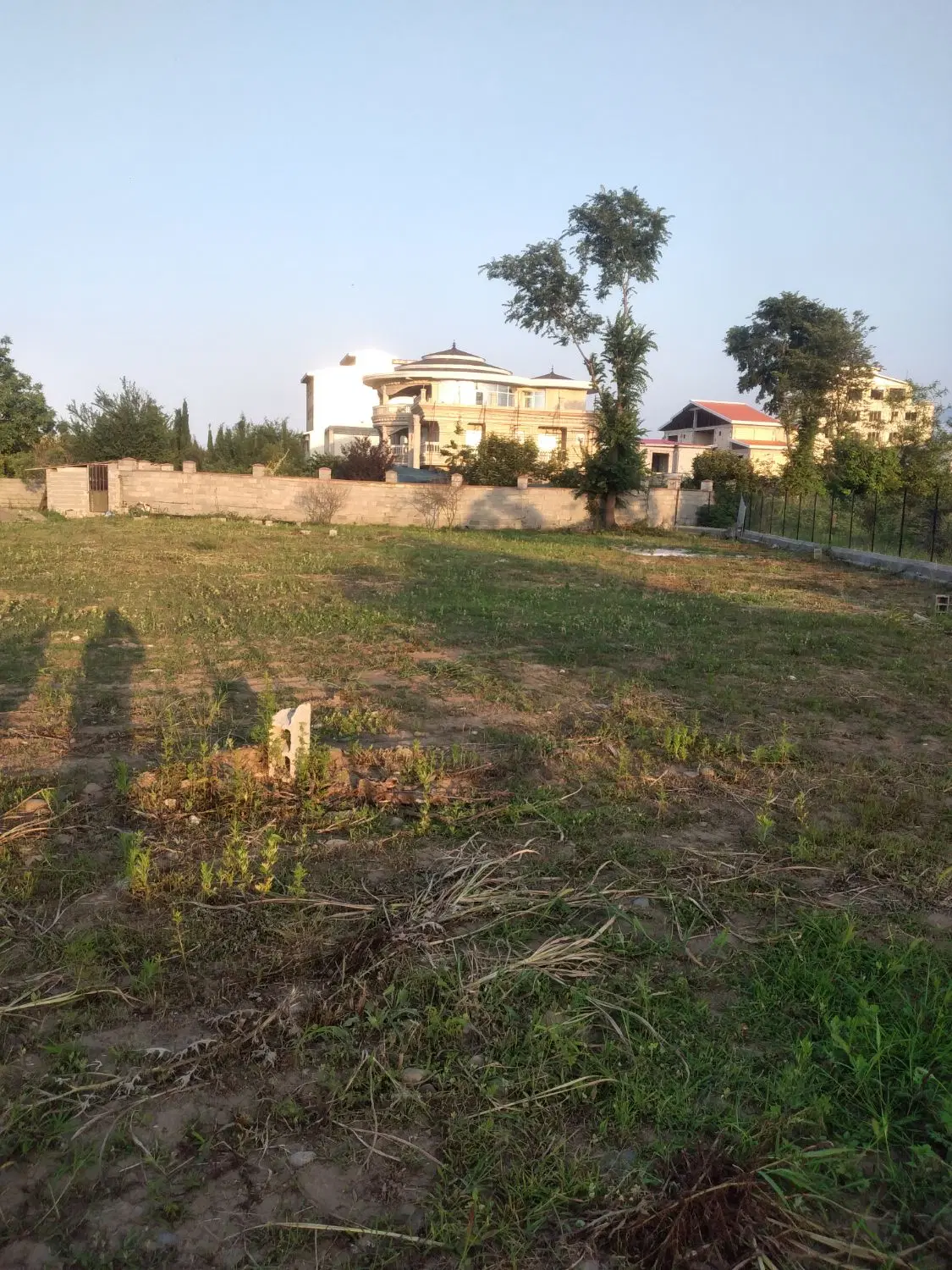 فروش زمین با مجوز شهرک سازی در کلاچای