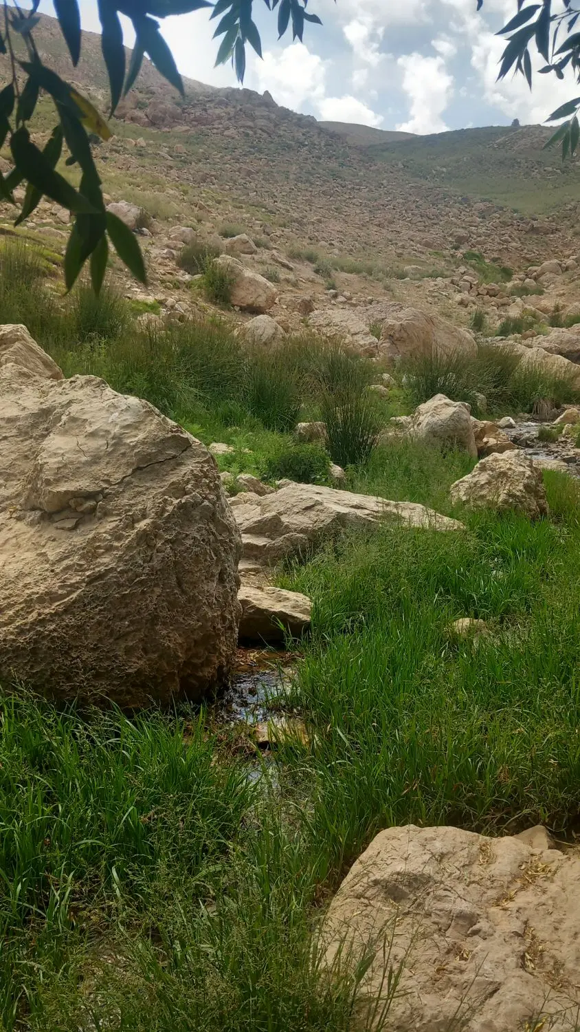 زمین فروشی