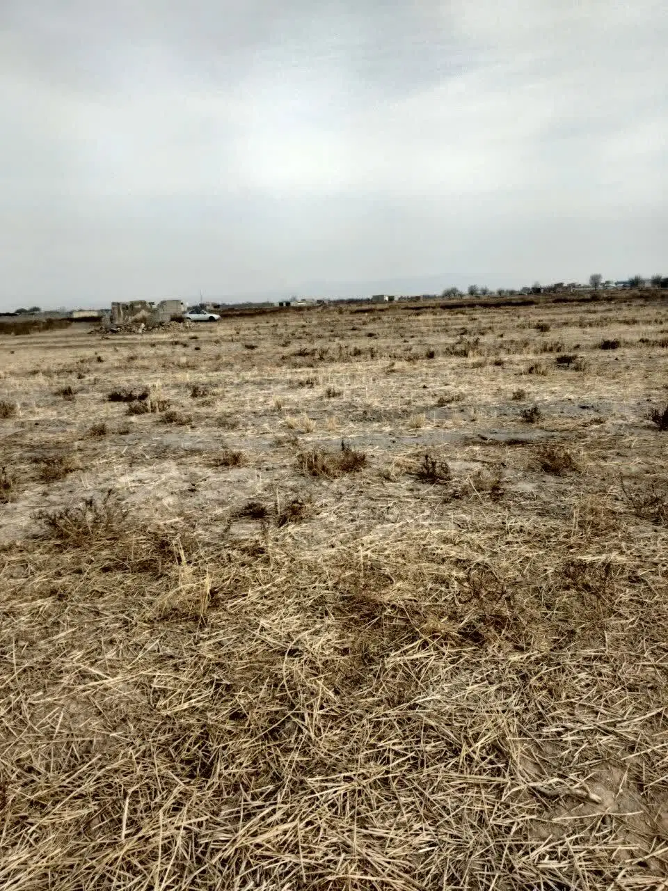 زمین باغی و کشاورزی