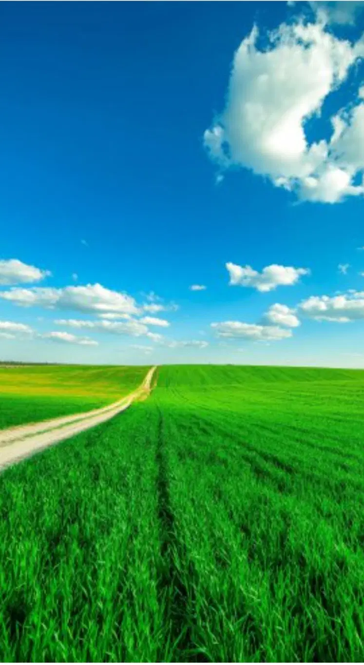 فروش زمین کشاورزی....