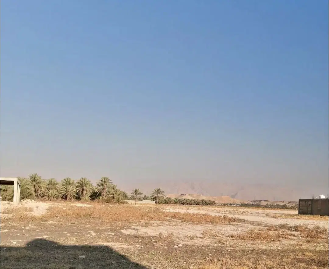 زمین