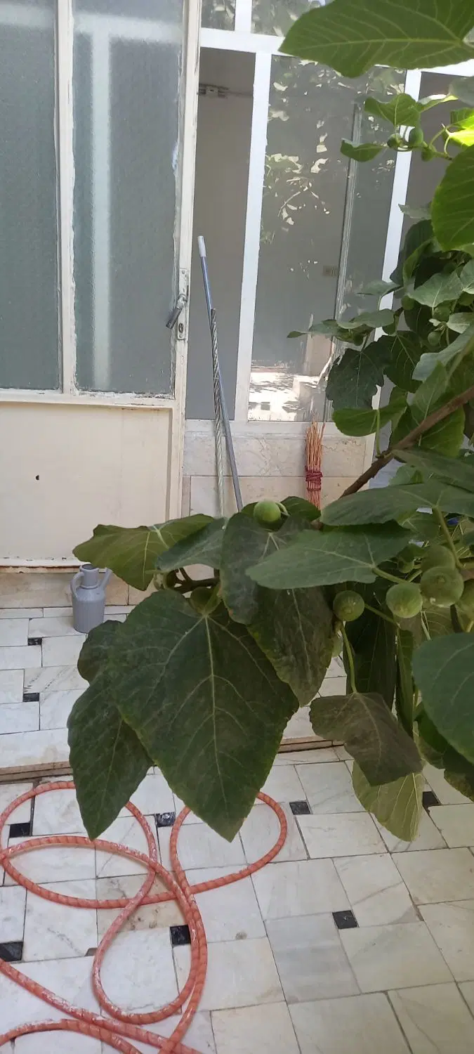 مسکونی کیوانفر