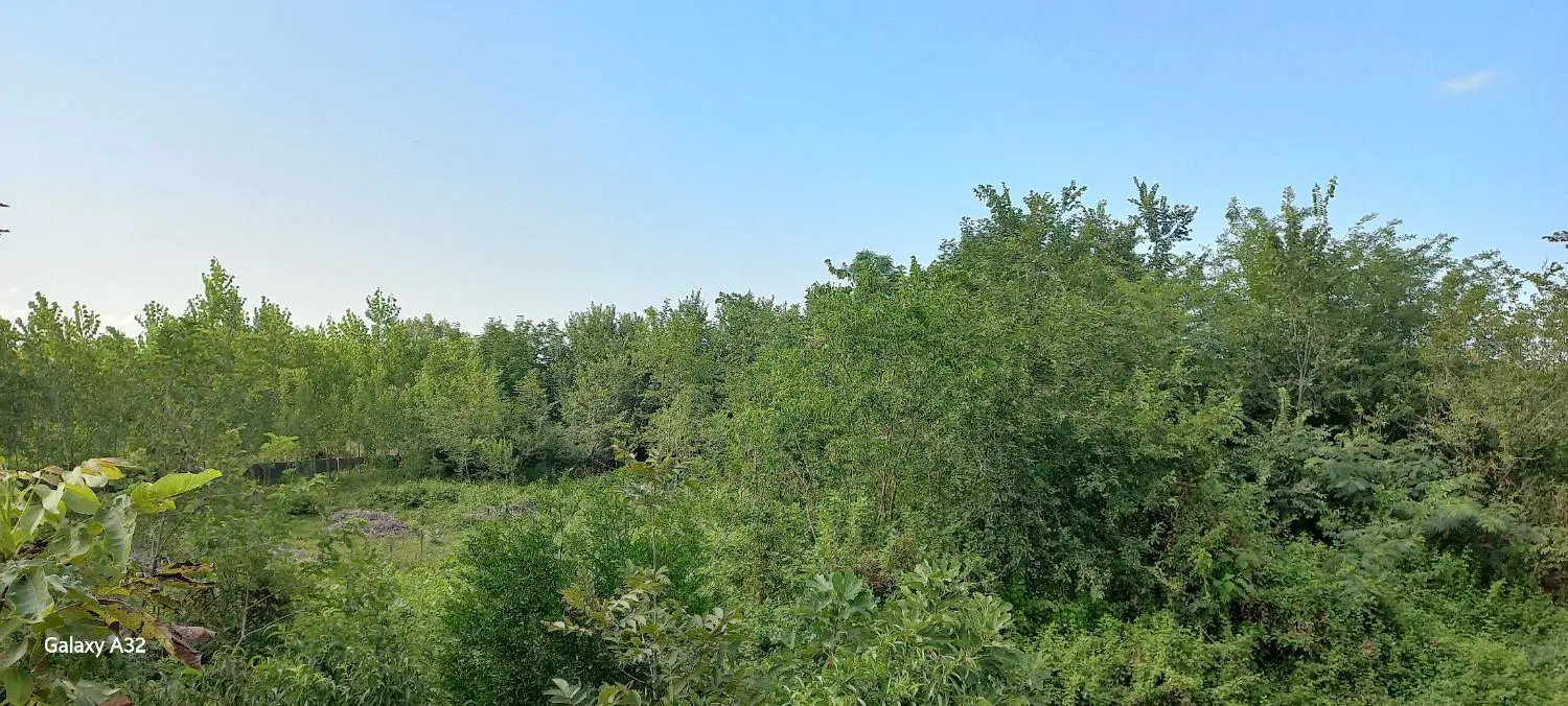دورود ۲۳۱متری شهری کد ۱