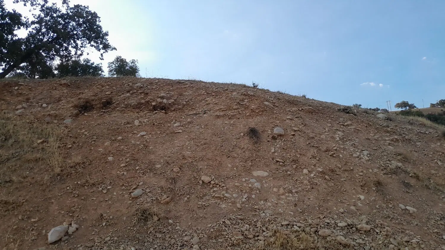 فروش زمین خیابان  جمهوری